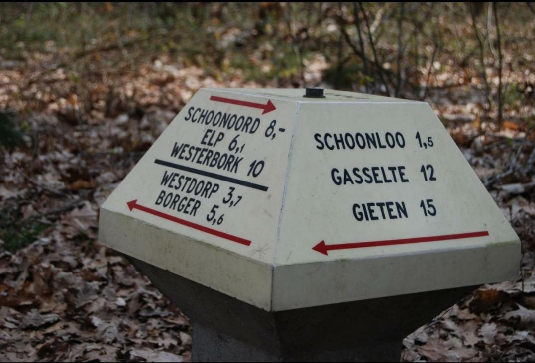 Chalet Schoonhoeve Schoonloo Luaran gambar