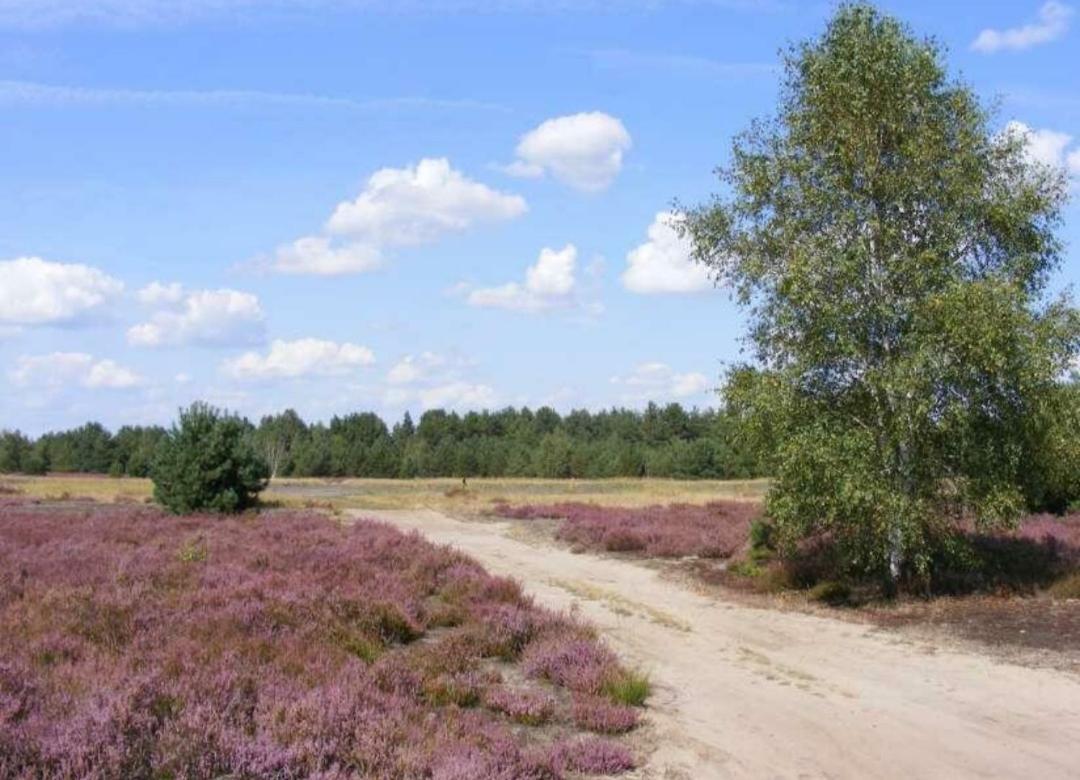Chalet Schoonhoeve Schoonloo Luaran gambar